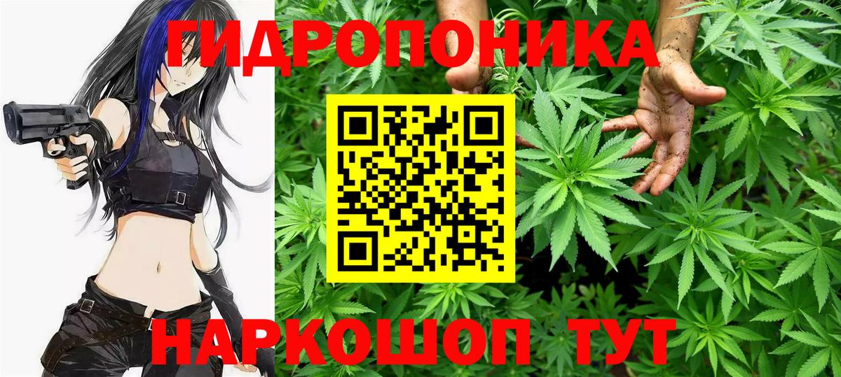 Шишки марихуана White Widow  Бошки марихуана VHQ  Вход с VPN  Ростов-на-Дону 